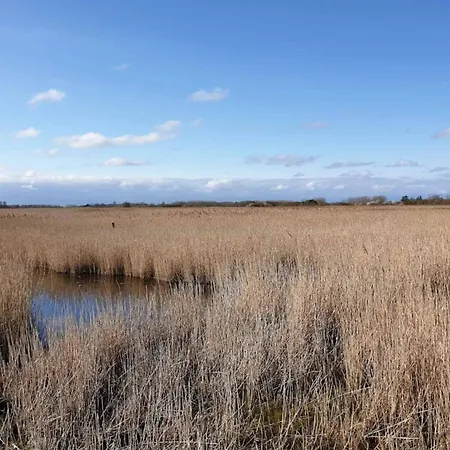 5 Person In Casa vacanze Otterup